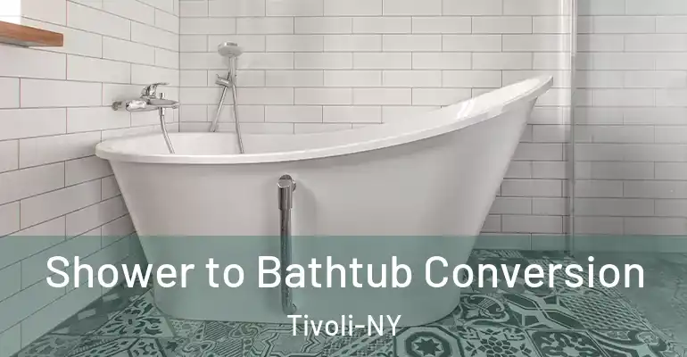 inner Bathroom imggen Shower to Bathtub Conversion Tivoli-NY