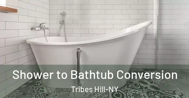 inner Bathroom imggen Shower to Bathtub Conversion Tribes Hill-NY