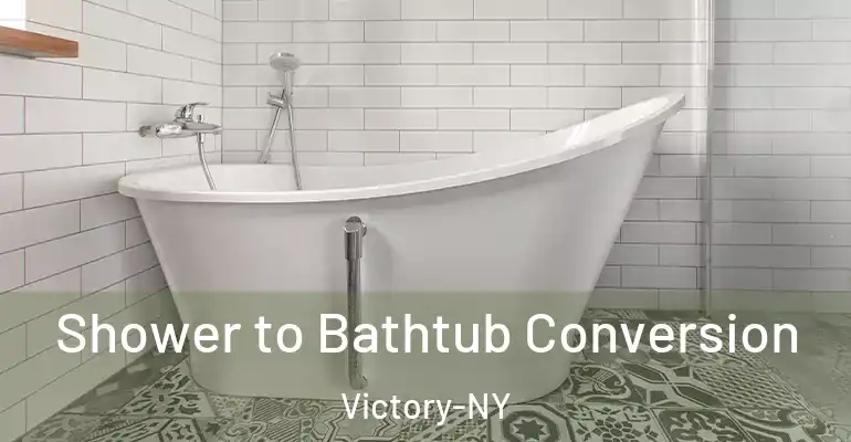 inner Bathroom imggen Shower to Bathtub Conversion Victory-NY