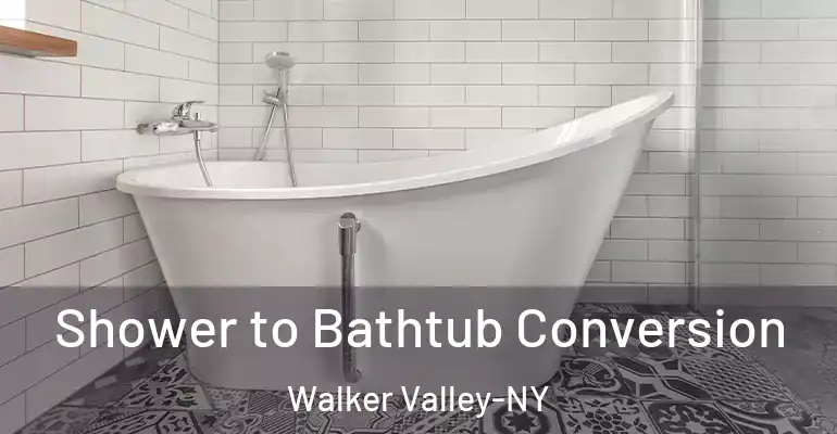 inner Bathroom imggen Shower to Bathtub Conversion Walker Valley-NY