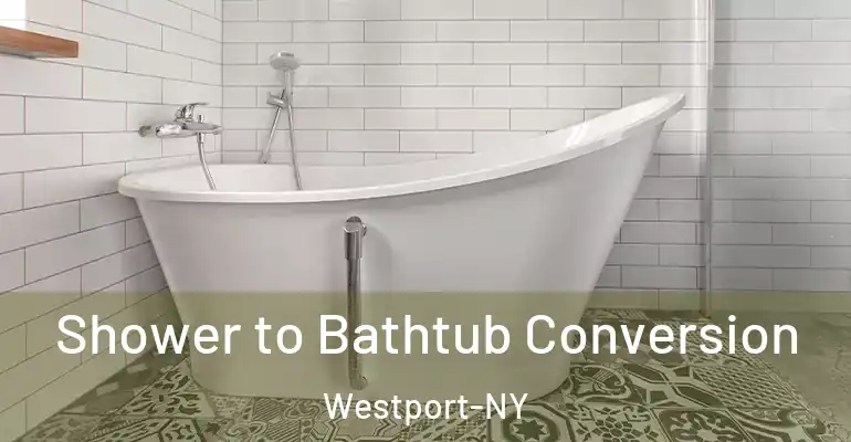 inner Bathroom imggen Shower to Bathtub Conversion Westport-NY