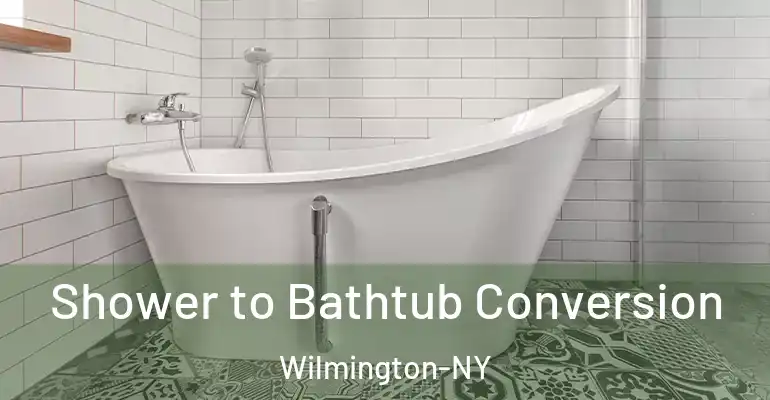 inner Bathroom imggen Shower to Bathtub Conversion Wilmington-NY