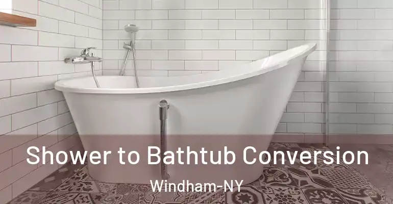 inner Bathroom imggen Shower to Bathtub Conversion Windham-NY