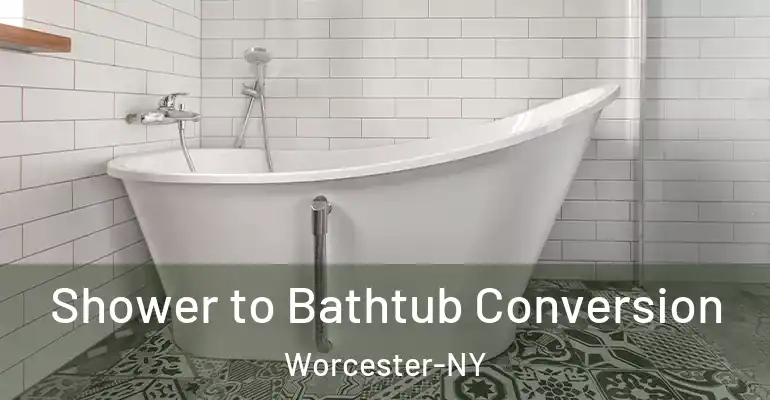 inner Bathroom imggen Shower to Bathtub Conversion Worcester-NY