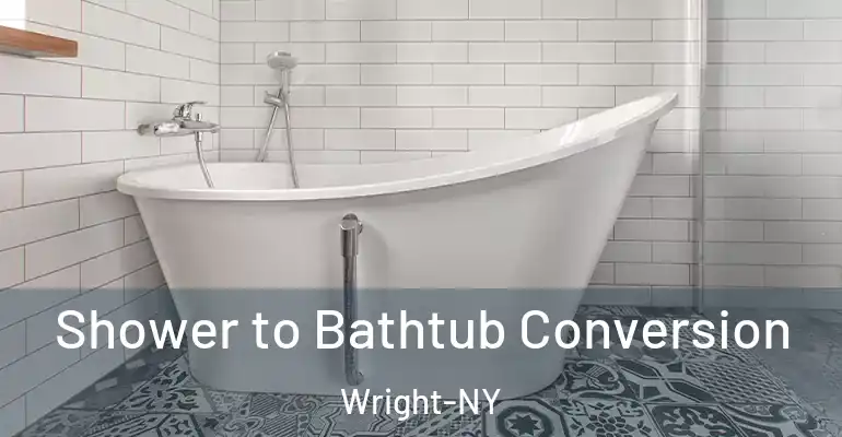inner Bathroom imggen Shower to Bathtub Conversion Wright-NY