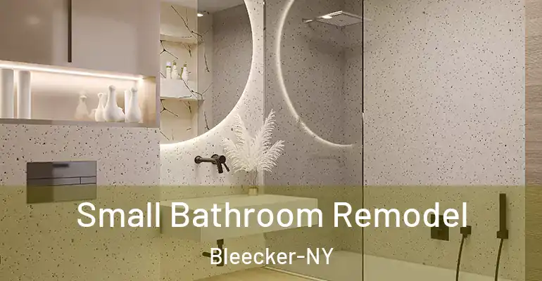 inner Bathroom imggen Small Bathroom Remodel Bleecker-NY