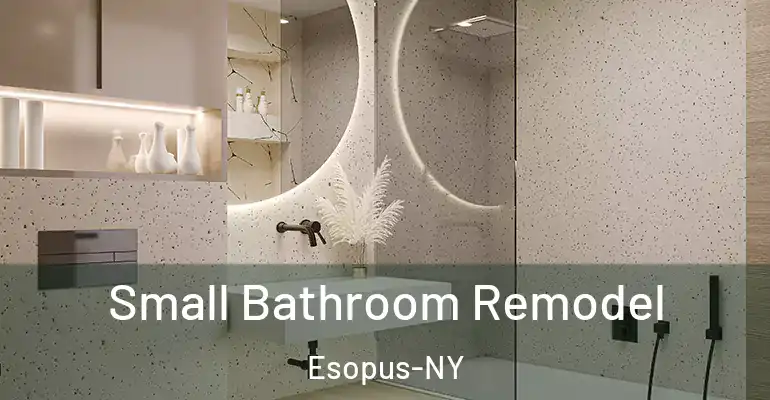 inner Bathroom imggen Small Bathroom Remodel Esopus-NY