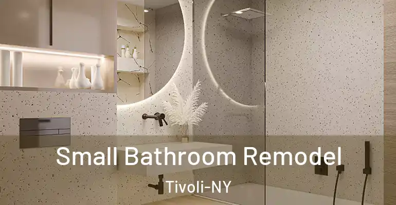 inner Bathroom imggen Small Bathroom Remodel Tivoli-NY