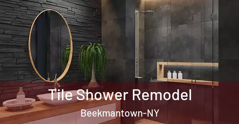 inner Bathroom imggen Tile Shower Remodel Beekmantown-NY