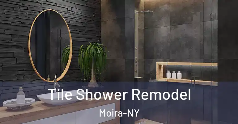 inner Bathroom imggen Tile Shower Remodel Moira-NY
