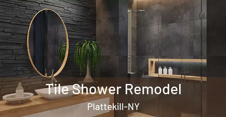 inner Bathroom imggen Tile Shower Remodel Plattekill-NY