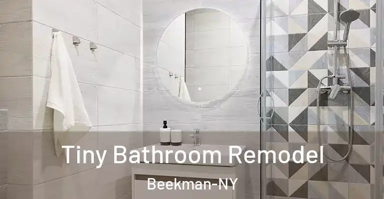 inner Bathroom imggen Tiny Bathroom Remodel Beekman-NY