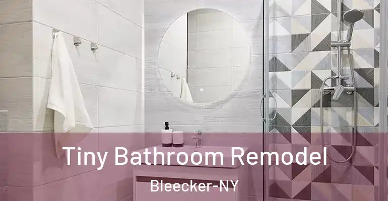 inner Bathroom imggen Tiny Bathroom Remodel Bleecker-NY