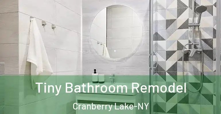 inner Bathroom imggen Tiny Bathroom Remodel Cranberry Lake-NY