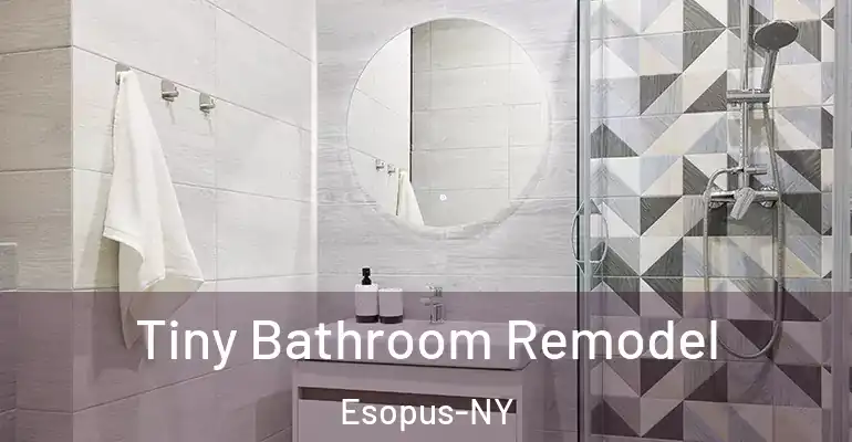 inner Bathroom imggen Tiny Bathroom Remodel Esopus-NY