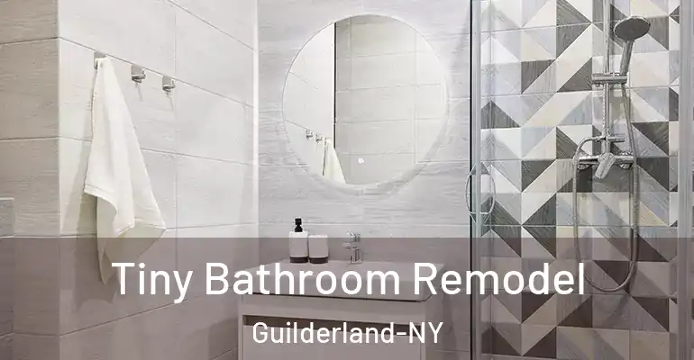 inner Bathroom imggen Tiny Bathroom Remodel Guilderland-NY