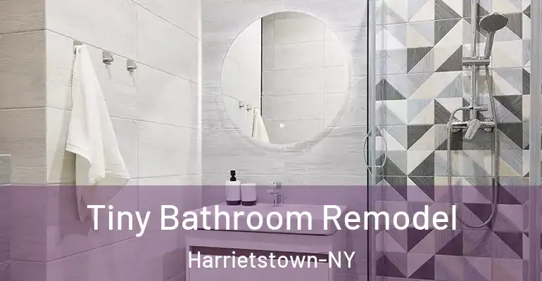 inner Bathroom imggen Tiny Bathroom Remodel Harrietstown-NY