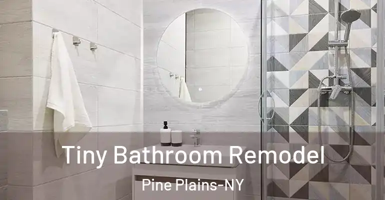 inner Bathroom imggen Tiny Bathroom Remodel Pine Plains-NY