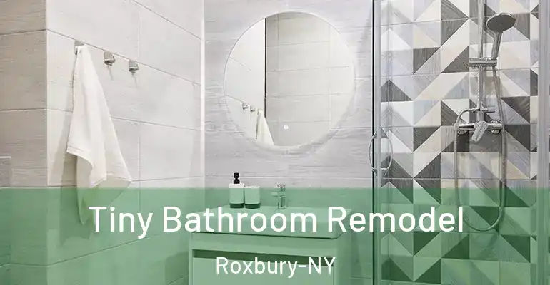 inner Bathroom imggen Tiny Bathroom Remodel Roxbury-NY