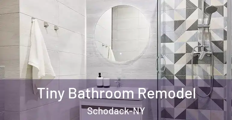inner Bathroom imggen Tiny Bathroom Remodel Schodack-NY