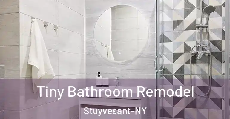 inner Bathroom imggen Tiny Bathroom Remodel Stuyvesant-NY