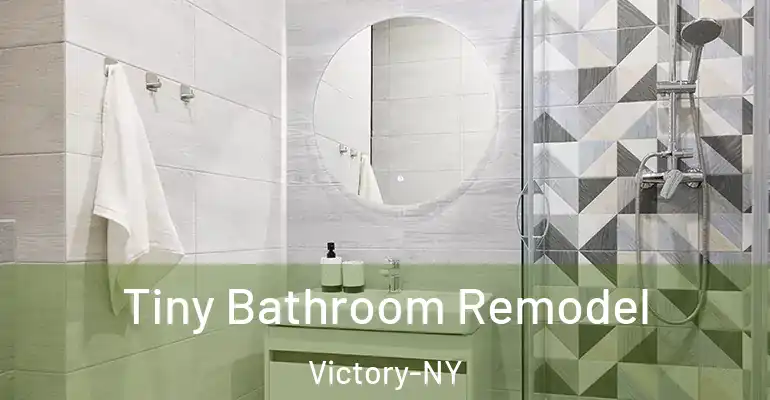 inner Bathroom imggen Tiny Bathroom Remodel Victory-NY