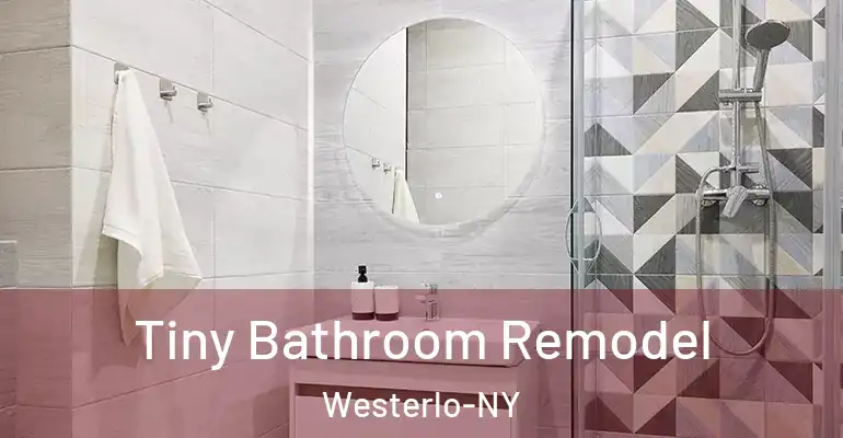 inner Bathroom imggen Tiny Bathroom Remodel Westerlo-NY