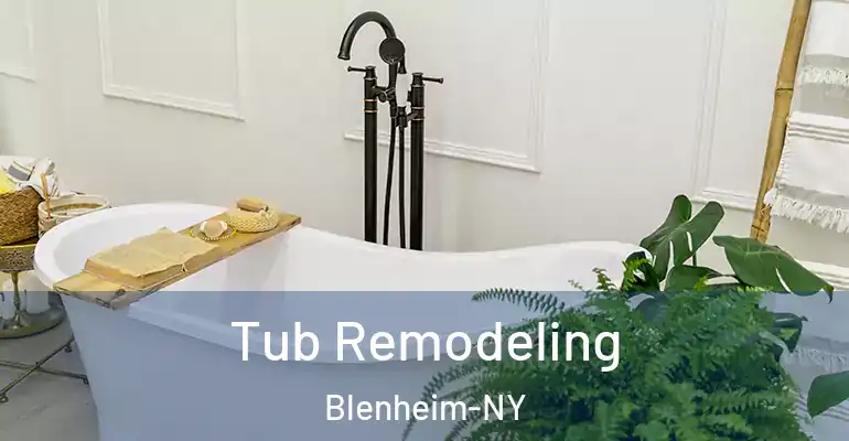 inner Bathroom imggen Tub Remodeling Blenheim-NY