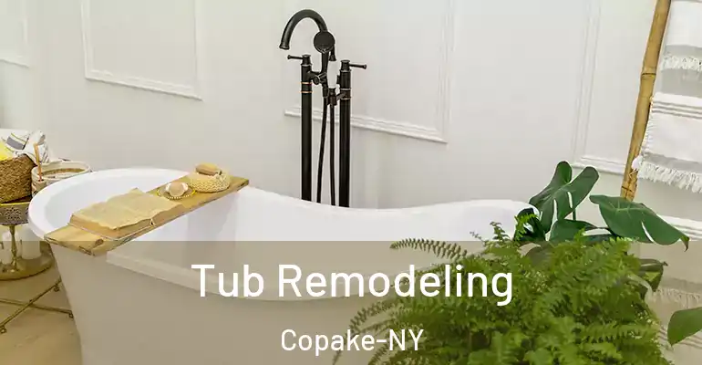 inner Bathroom imggen Tub Remodeling Copake-NY