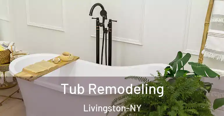 inner Bathroom imggen Tub Remodeling Livingston-NY