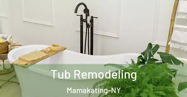 inner Bathroom imggen Tub Remodeling Mamakating-NY