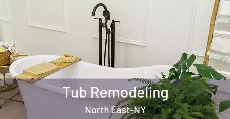 inner Bathroom imggen Tub Remodeling North East-NY