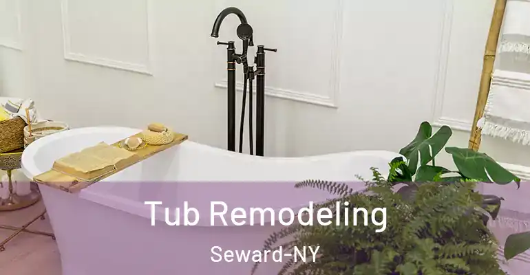 inner Bathroom imggen Tub Remodeling Seward-NY