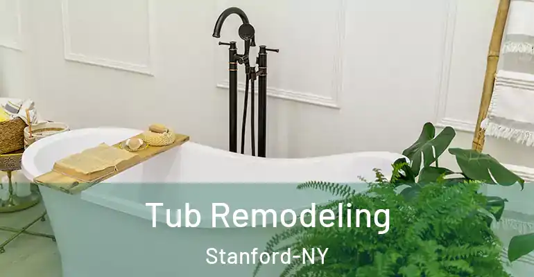 inner Bathroom imggen Tub Remodeling Stanford-NY