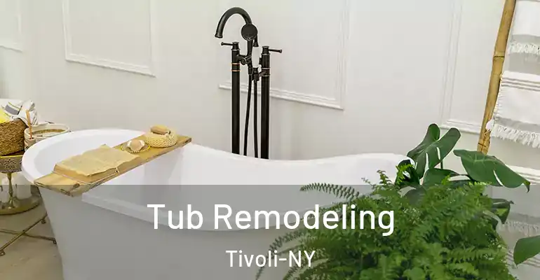 inner Bathroom imggen Tub Remodeling Tivoli-NY