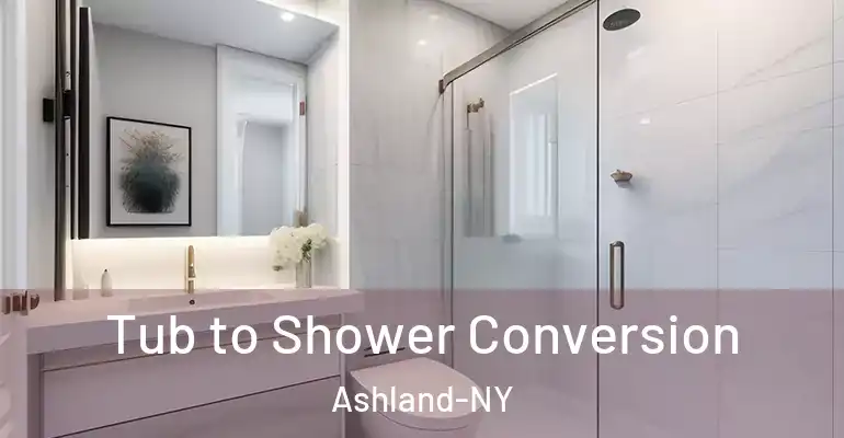 inner Bathroom imggen Tub to Shower Conversion Ashland-NY