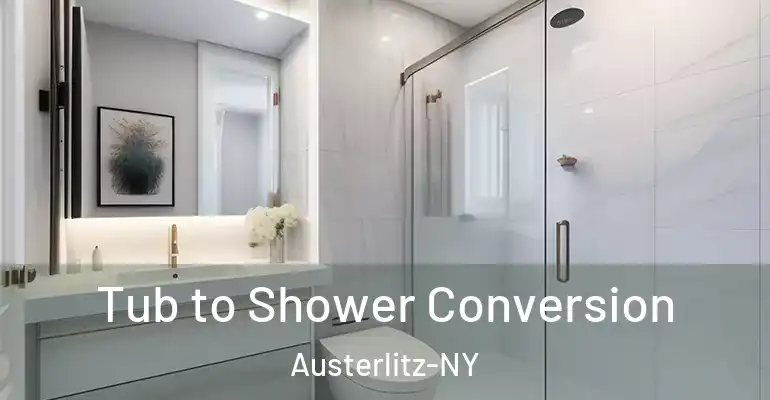 inner Bathroom imggen Tub to Shower Conversion Austerlitz-NY