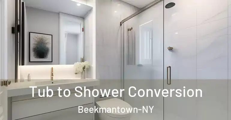 inner Bathroom imggen Tub to Shower Conversion Beekmantown-NY