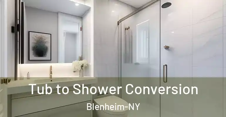 inner Bathroom imggen Tub to Shower Conversion Blenheim-NY