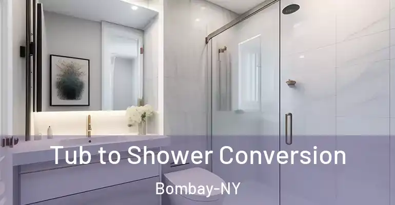 inner Bathroom imggen Tub to Shower Conversion Bombay-NY
