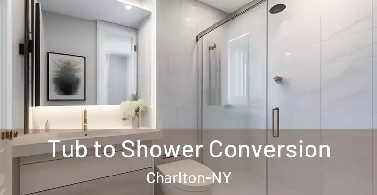 inner Bathroom imggen Tub to Shower Conversion Charlton-NY