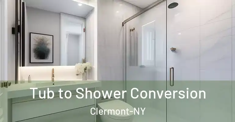 inner Bathroom imggen Tub to Shower Conversion Clermont-NY