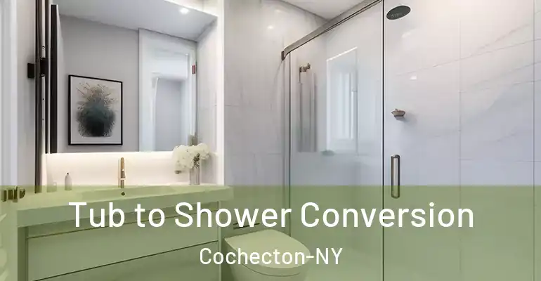 inner Bathroom imggen Tub to Shower Conversion Cochecton-NY