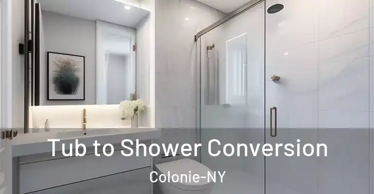 inner Bathroom imggen Tub to Shower Conversion Colonie-NY
