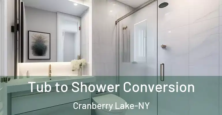 inner Bathroom imggen Tub to Shower Conversion Cranberry Lake-NY