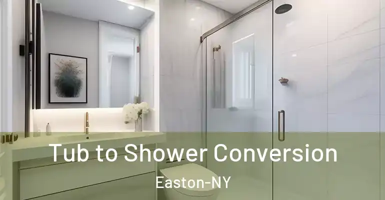 inner Bathroom imggen Tub to Shower Conversion Easton-NY