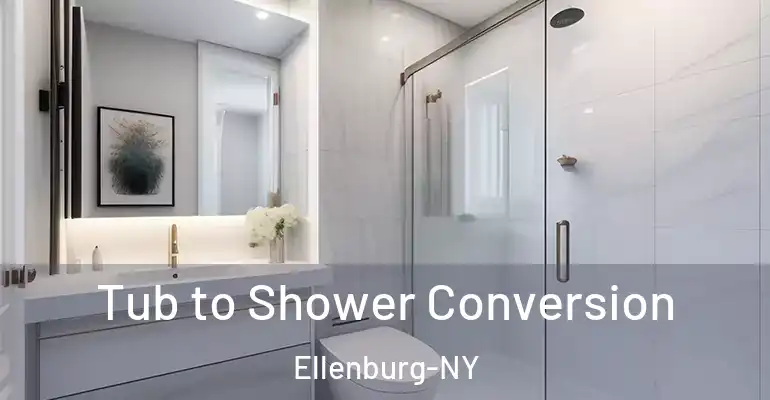 inner Bathroom imggen Tub to Shower Conversion Ellenburg-NY