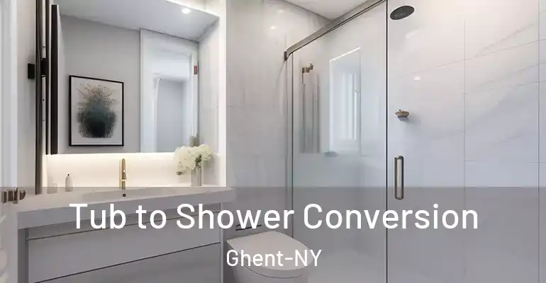 inner Bathroom imggen Tub to Shower Conversion Ghent-NY