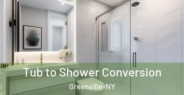 inner Bathroom imggen Tub to Shower Conversion Greenville-NY