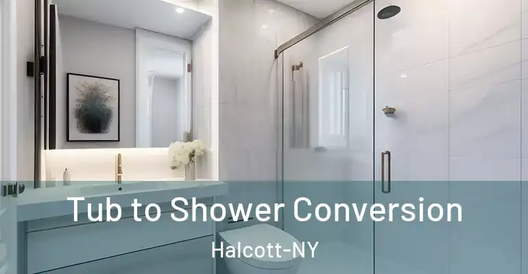 inner Bathroom imggen Tub to Shower Conversion Halcott-NY